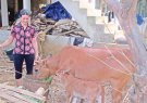 Phụ nữ xã thôn Tôm, xã Ban Công với phong trào xây dựng Nông thôn mới